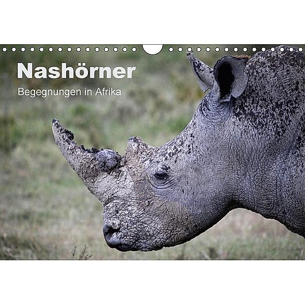 Nashörner - Begegnungen in Afrika (Wandkalender 2017 DIN A4 quer), Michael Herzog
