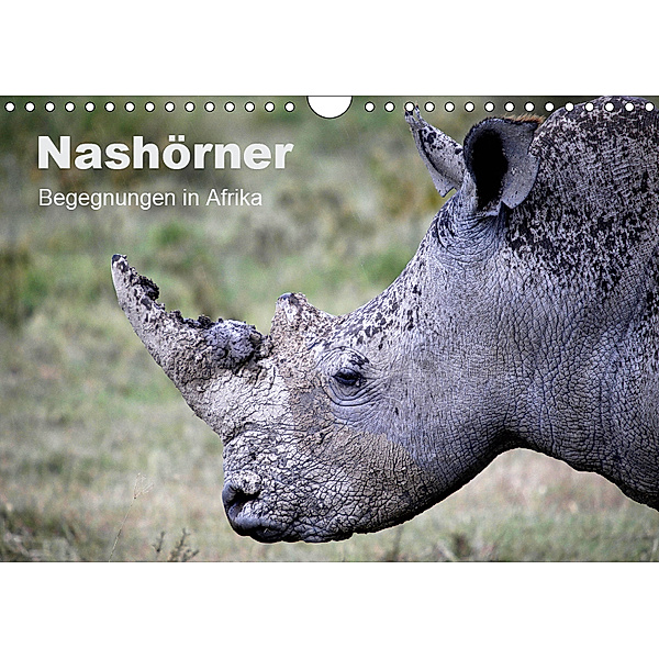 Nashörner - Begegnungen in Afrika (Wandkalender 2019 DIN A4 quer), Michael Herzog