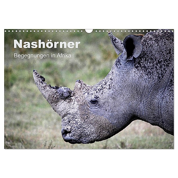 Nashörner - Begegnungen in Afrika (Wandkalender 2024 DIN A3 quer), CALVENDO Monatskalender, Michael Herzog