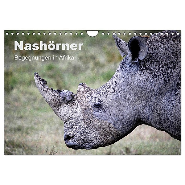 Nashörner - Begegnungen in Afrika (Wandkalender 2024 DIN A4 quer), CALVENDO Monatskalender, Michael Herzog