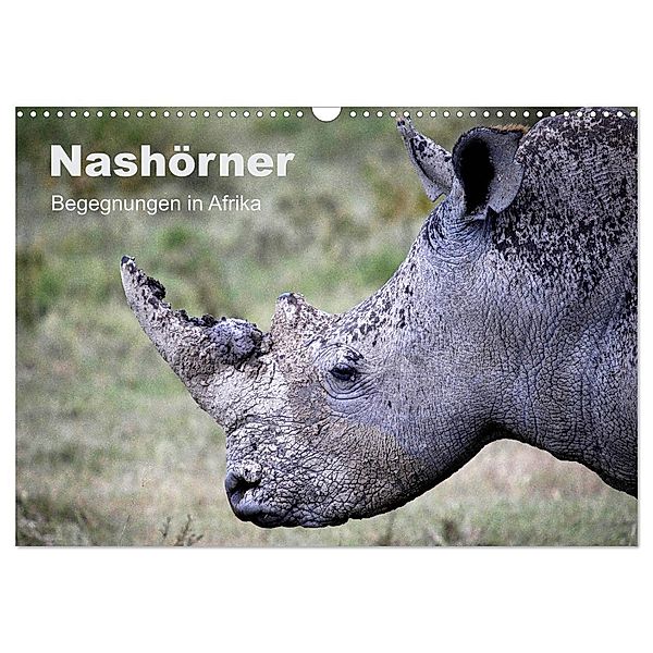 Nashörner - Begegnungen in Afrika (Wandkalender 2025 DIN A3 quer), CALVENDO Monatskalender, Calvendo, Michael Herzog