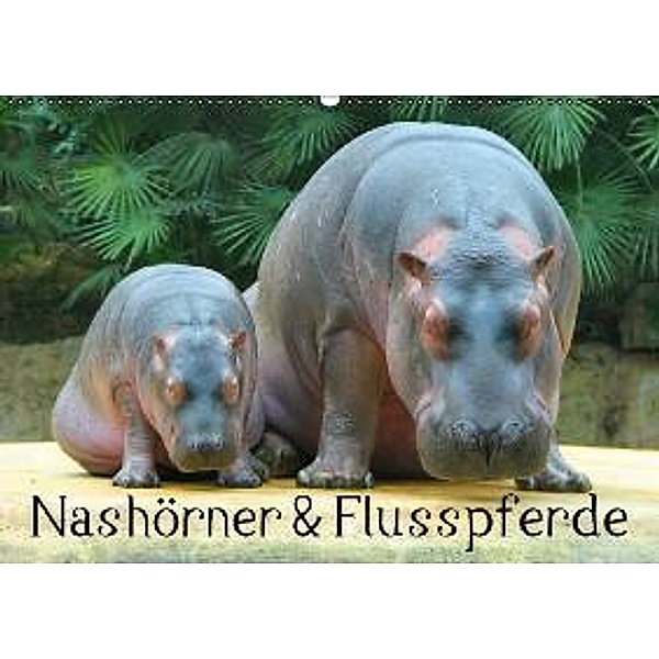 Nashörner & Flusspferde (Wandkalender 2015 DIN A2 quer), Elisabeth Stanzer