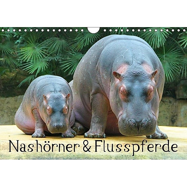 Nashörner & Flusspferde (Wandkalender 2017 DIN A4 quer), Elisabeth Stanzer