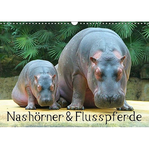 Nashörner & Flusspferde (Wandkalender 2018 DIN A3 quer), Elisabeth Stanzer