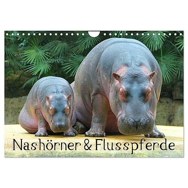 Nashörner & Flusspferde (Wandkalender 2024 DIN A4 quer), CALVENDO Monatskalender, Elisabeth Stanzer