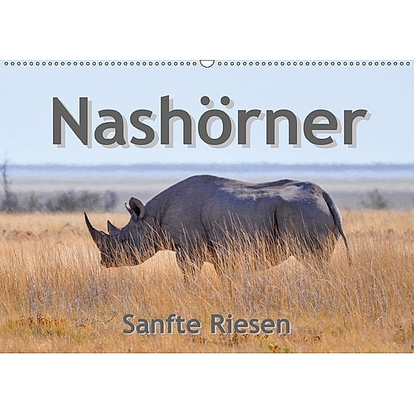 Nashörner - Sanfte Riesen (Wandkalender 2019 DIN A2 quer), Robert Styppa