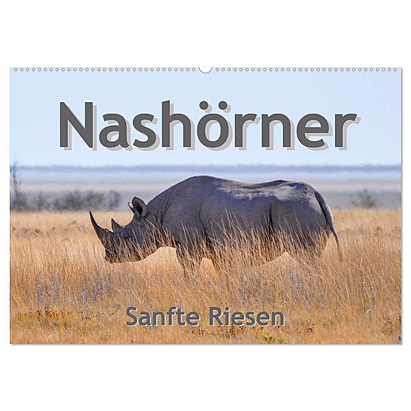Nashörner - Sanfte Riesen (Wandkalender 2024 DIN A2 quer), CALVENDO Monatskalender, Robert Styppa