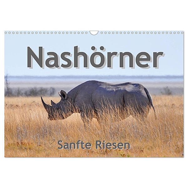 Nashörner - Sanfte Riesen (Wandkalender 2025 DIN A3 quer), CALVENDO Monatskalender, Calvendo, Robert Styppa