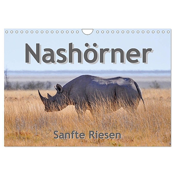 Nashörner - Sanfte Riesen (Wandkalender 2025 DIN A4 quer), CALVENDO Monatskalender, Calvendo, Robert Styppa