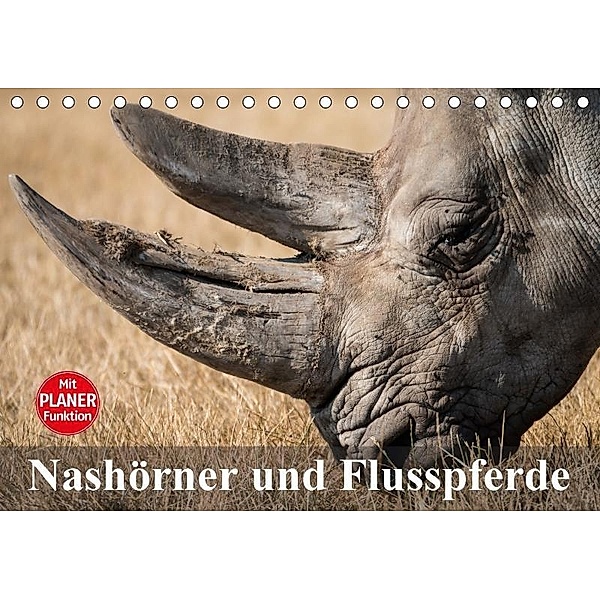 Nashörner und Flusspferde (Tischkalender 2017 DIN A5 quer), Elisabeth Stanzer