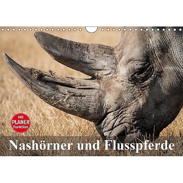 Nashörner und Flusspferde (Wandkalender 2017 DIN A4 quer), Elisabeth Stanzer