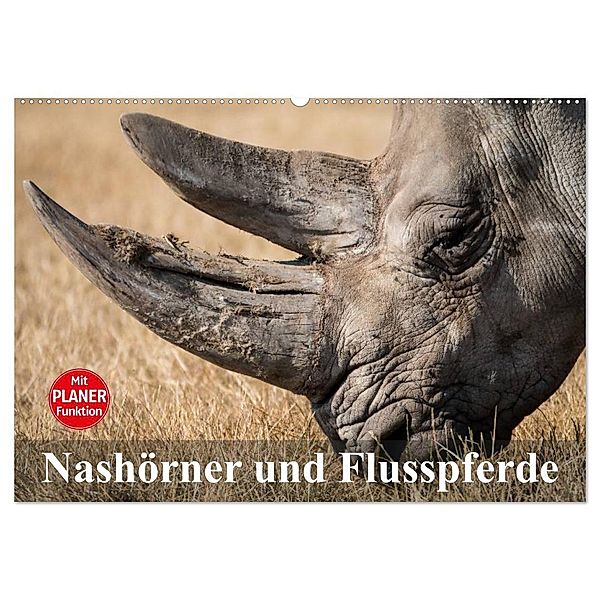Nashörner und Flusspferde (Wandkalender 2024 DIN A2 quer), CALVENDO Monatskalender, Elisabeth Stanzer