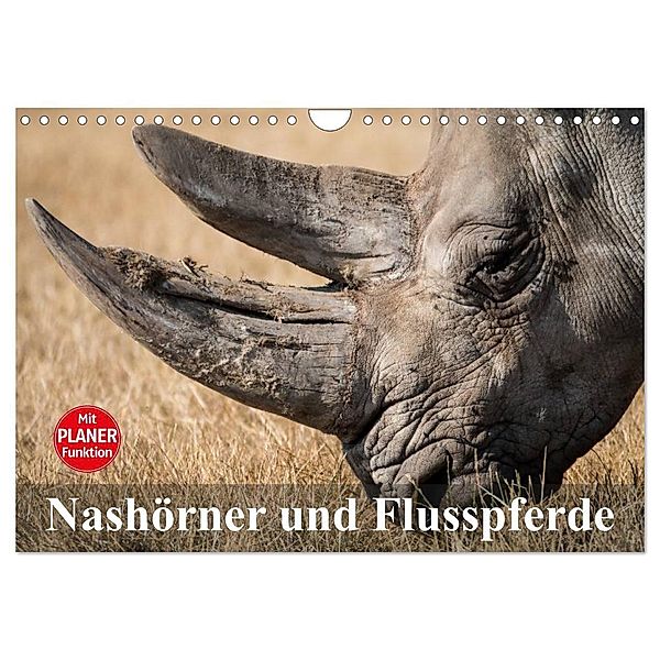 Nashörner und Flusspferde (Wandkalender 2024 DIN A4 quer), CALVENDO Monatskalender, Elisabeth Stanzer