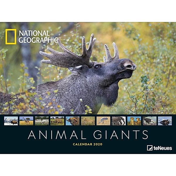 National Geographic Animal Giants 2020