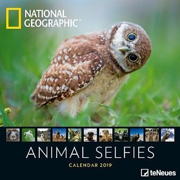 National Geographic Animal Selfies 2019