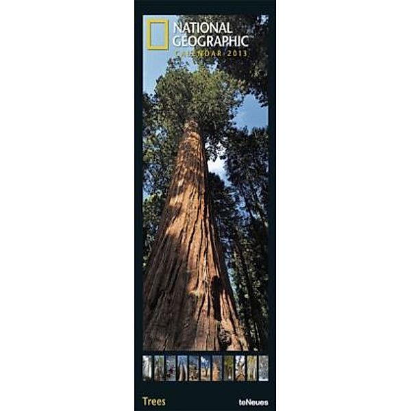 National Geographic Calendar, Trees 2011