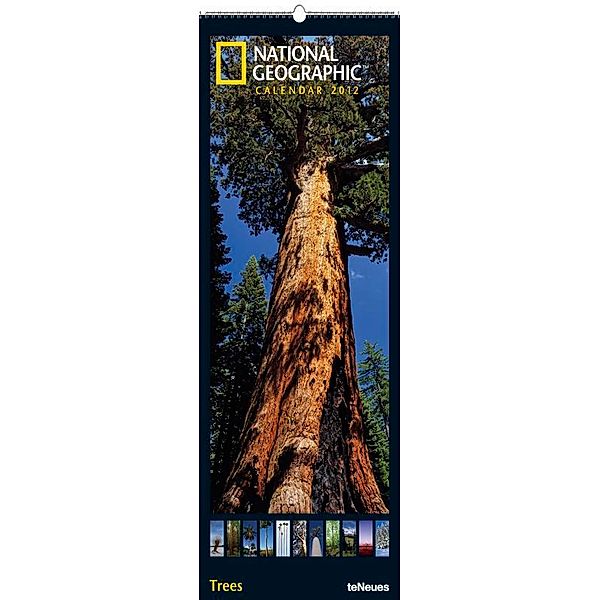 National Geographic Calendar, Trees 2012