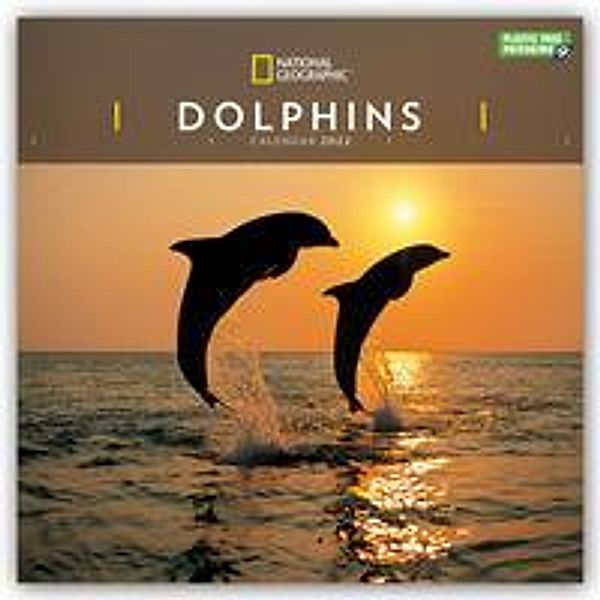 National Geographic Dolphins - Delfine 2022, Carousel Calendar
