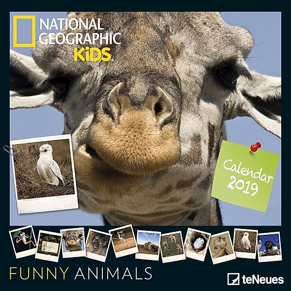 National Geographic Funny Animals 2019