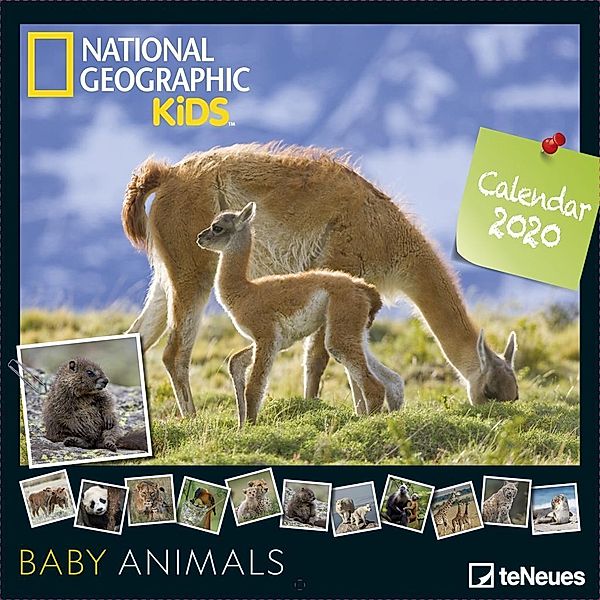 National Geographic Kids Baby Animals 2020