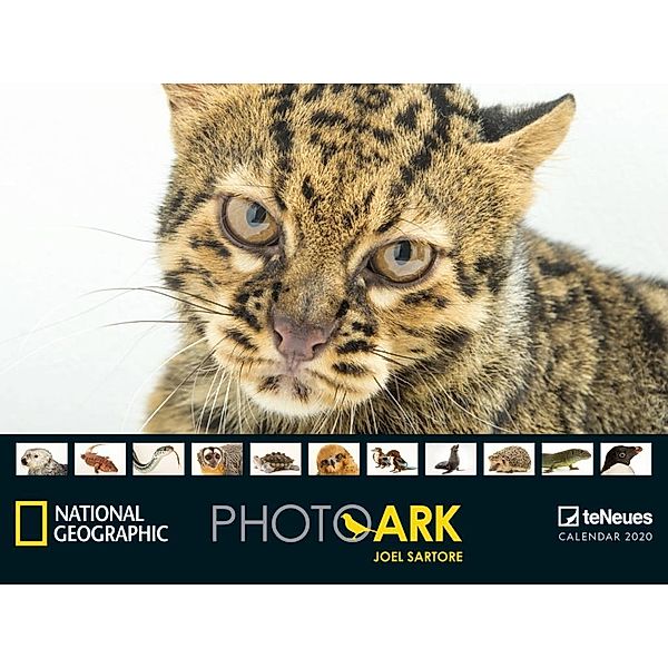 National Geographic Photo Ark 2020, Joel Sartore