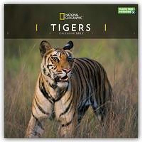 National Geographic Tigers - Tiger 2022, Carousel Calendar