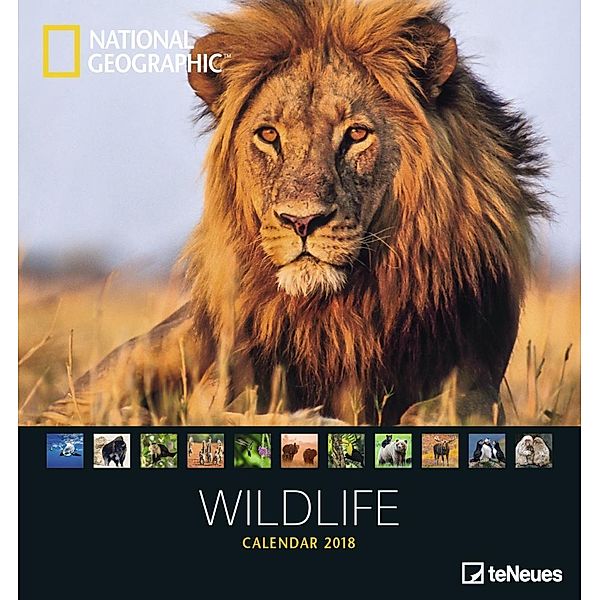 National Geographic Wildlife 2018