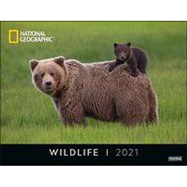 National Geographic Wildlife 2021