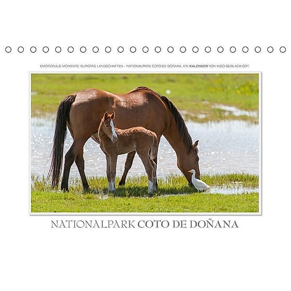 Nationalpark Coto de Doñana (Tischkalender 2017 DIN A5 quer), Ingo Gerlach, Ingo Gerlach GDT