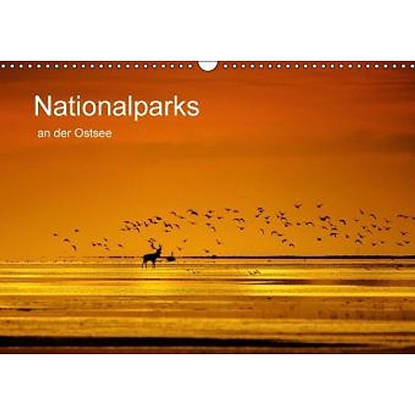 Nationalparks an der Ostsee (Wandkalender 2016 DIN A3 quer), Klaus-Herbert Schröter