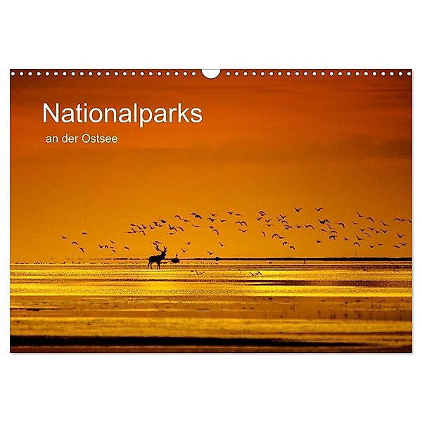 Nationalparks an der Ostsee (Wandkalender 2024 DIN A3 quer), CALVENDO Monatskalender, Klaus-Herbert Schröter