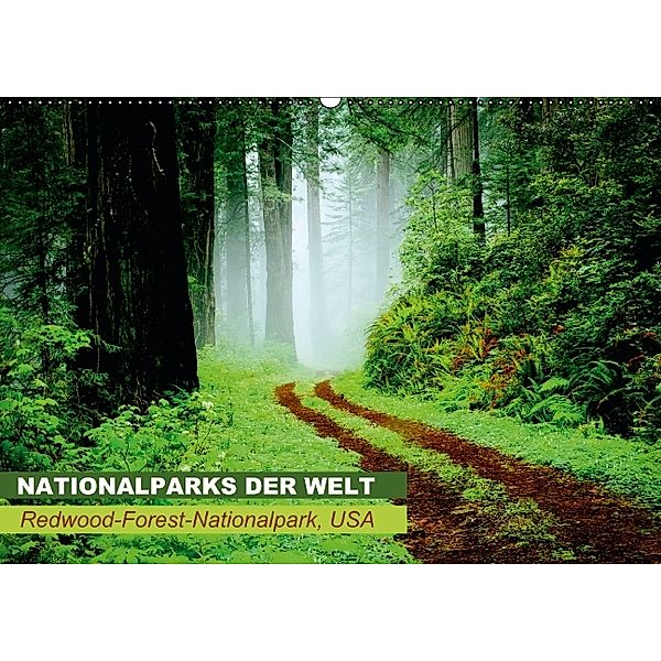 Nationalparks der Welt Redwood-Forest-Nationalpark, USA (Wandkalender 2014 DIN A2 quer), CALVENDO