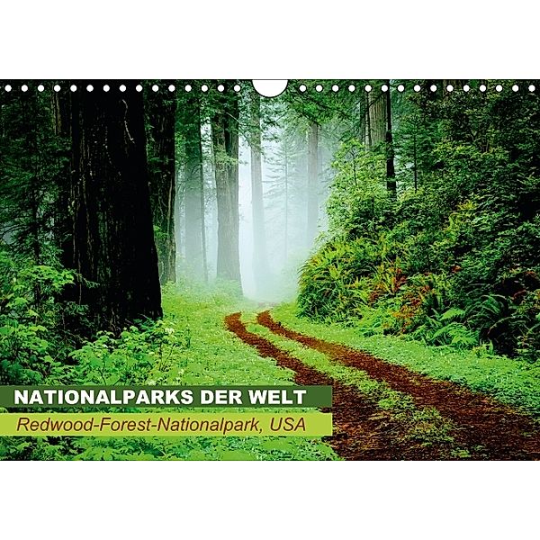 Nationalparks der Welt Redwood-Forest-Nationalpark, USA (Wandkalender 2014 DIN A4 quer), CALVENDO