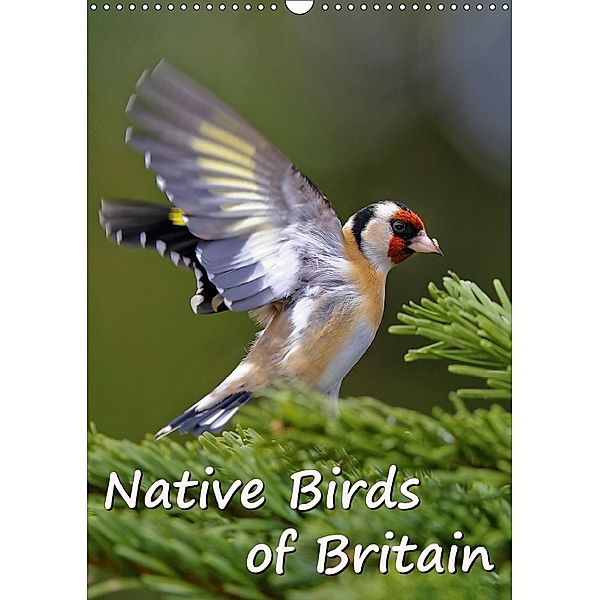 Native Birds of Britain (Wall Calendar 2018 DIN A3 Portrait), Dieter-M. Wilczek