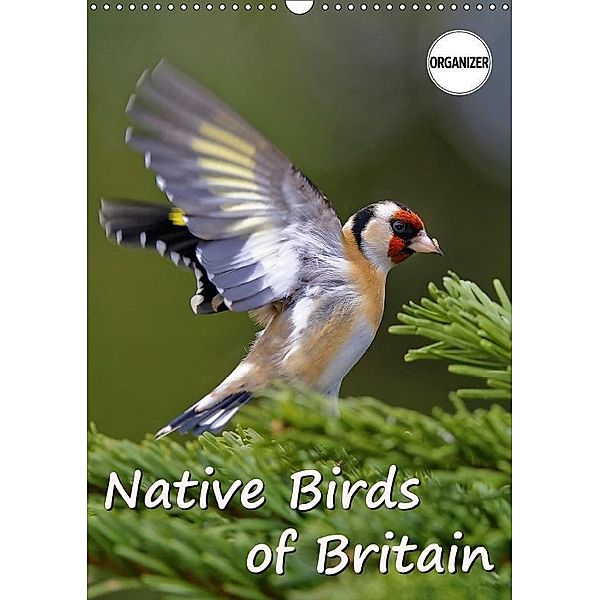Native Birds of Britain (Wall Calendar 2018 DIN A3 Portrait), Dieter-M. Wilczek
