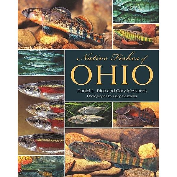 Native Fishes of Ohio, Daniel L. Rice