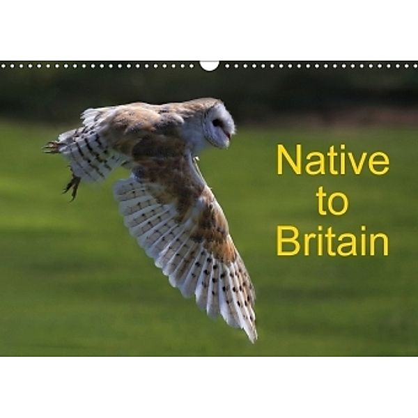 Native to Britain (Wall Calendar 2017 DIN A3 Landscape), Ceri D Jones