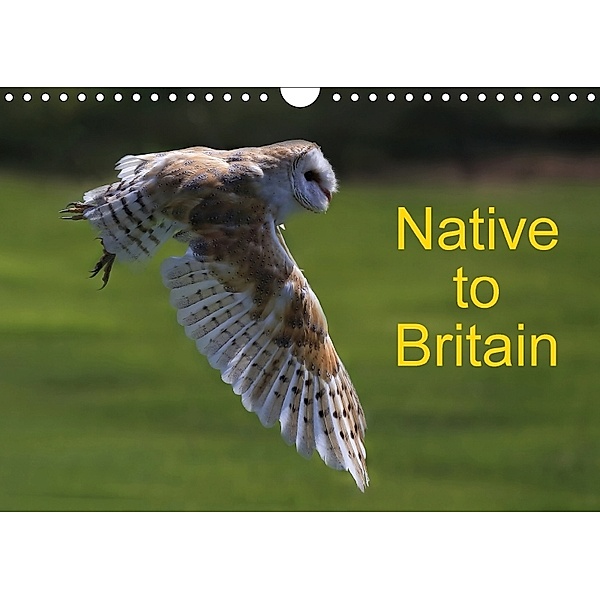 Native to Britain (Wall Calendar 2018 DIN A4 Landscape), Ceri D Jones
