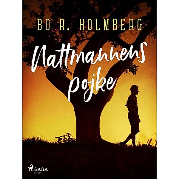 Nattmannens pojke, Bo R. Holmberg