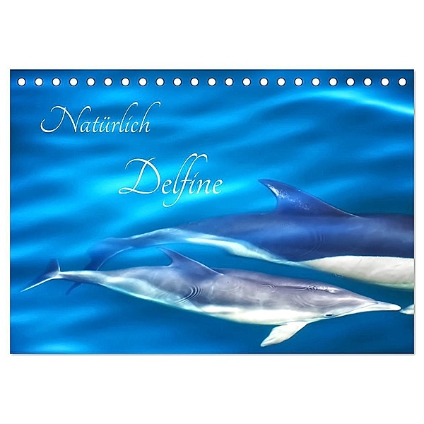 Natürlich Delfine (Tischkalender 2024 DIN A5 quer), CALVENDO Monatskalender, Marion Meyer - Stimmungsbilder1