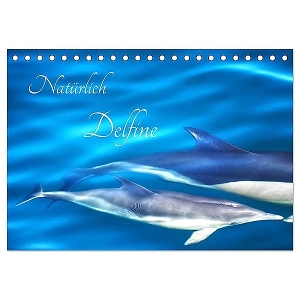 Natürlich Delfine (Tischkalender 2025 DIN A5 quer), CALVENDO Monatskalender, Calvendo, Marion Meyer - Stimmungsbilder1
