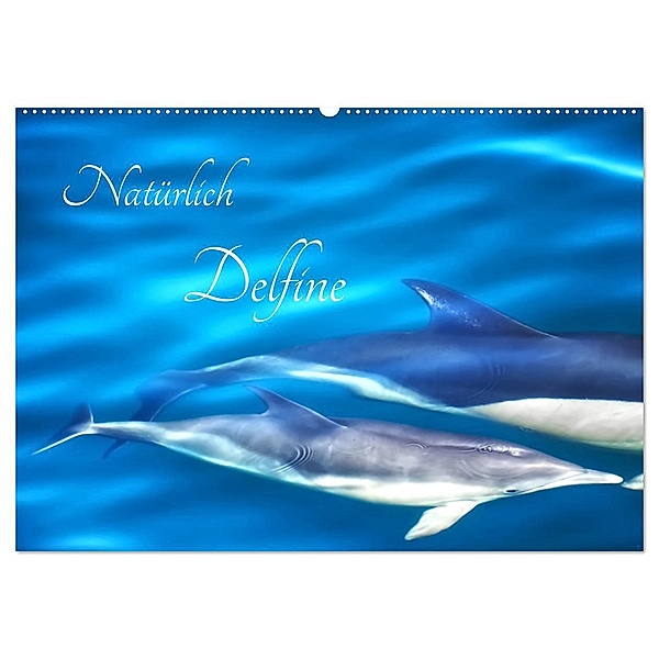 Natürlich Delfine (Wandkalender 2024 DIN A2 quer), CALVENDO Monatskalender, Marion Meyer - Stimmungsbilder1