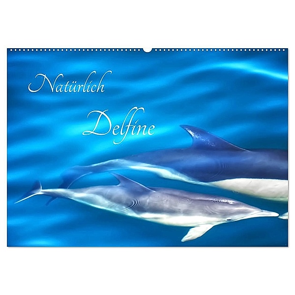 Natürlich Delfine (Wandkalender 2025 DIN A2 quer), CALVENDO Monatskalender, Calvendo, Marion Meyer - Stimmungsbilder1