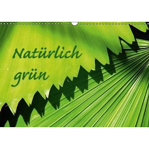 Natürlich grün (Wandkalender 2016 DIN A3 quer), GUGIGEI