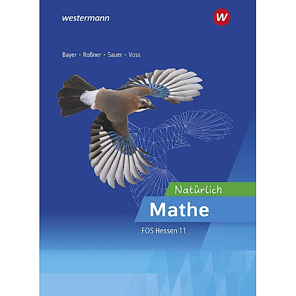 Natürlich Mathe - Mathematik für die Fachoberschulen in Hessen, Marc Roßner, Michael Sauer, Margrit Bayer, Torge Voss