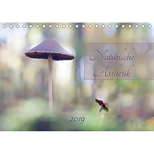 Natürliche Ästhetik (Tischkalender 2019 DIN A5 quer), Flori0