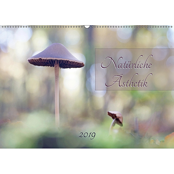 Natürliche Ästhetik (Wandkalender 2019 DIN A2 quer), Flori0