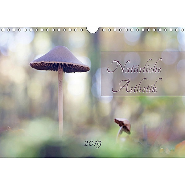 Natürliche Ästhetik (Wandkalender 2019 DIN A4 quer), Flori0