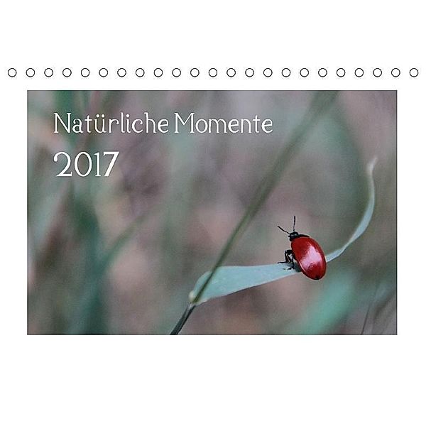 Natürliche Momente (Tischkalender 2017 DIN A5 quer), Stefanie Degner
