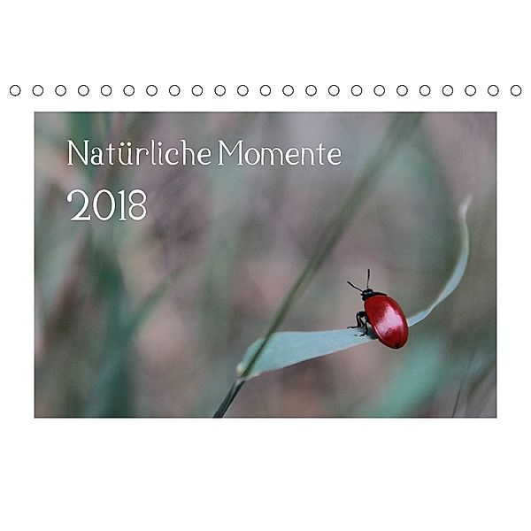 Natürliche Momente (Tischkalender 2018 DIN A5 quer), Stefanie Degner